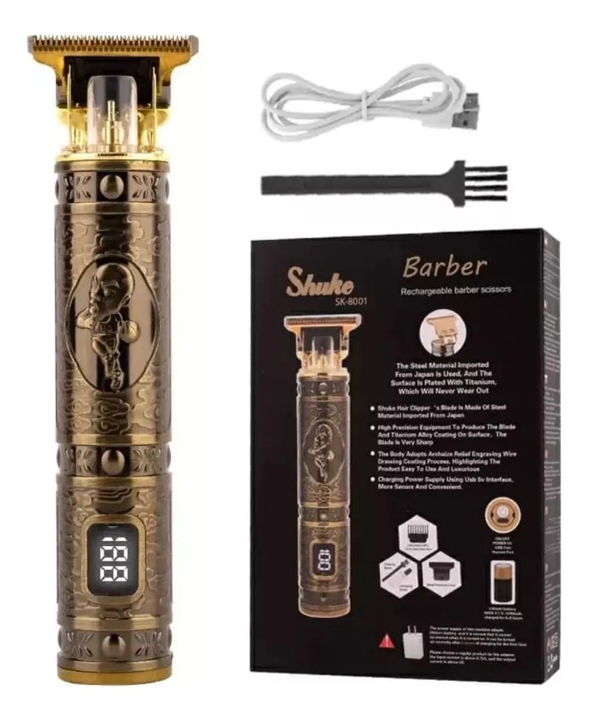 BUDA CON PANTALLA ECONOMICA SK-8001