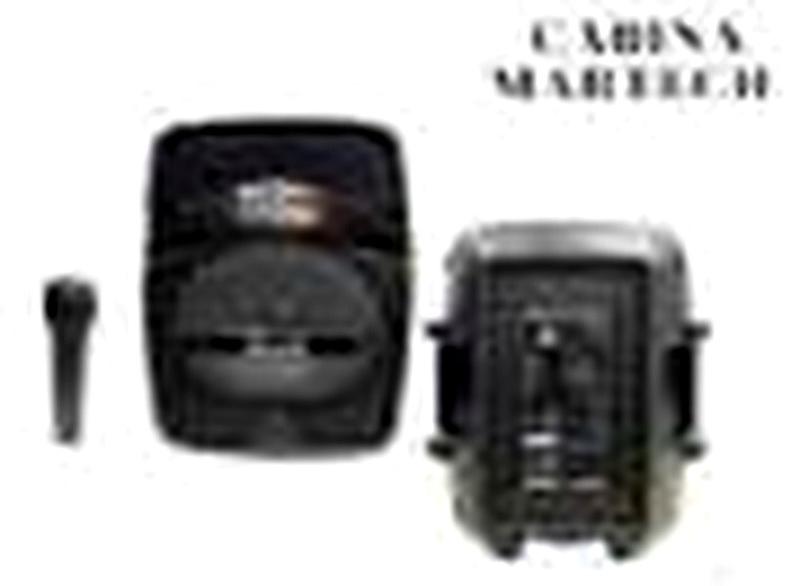 CABINA 8 PULGADAS MT 1821 MARTECH