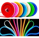 CINTA LED NEON